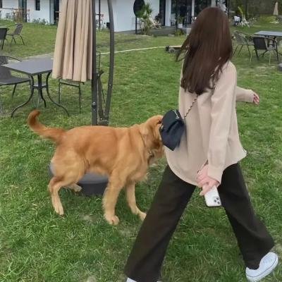 指定幸存者第二季